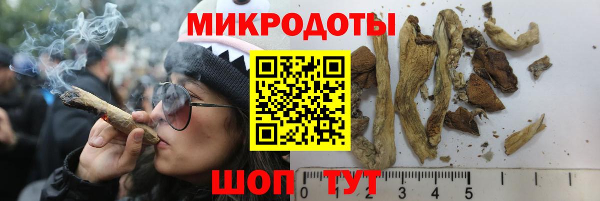 Реутов  Галлюциногенные грибы Psilocybine cubensis  Вход с VPN 